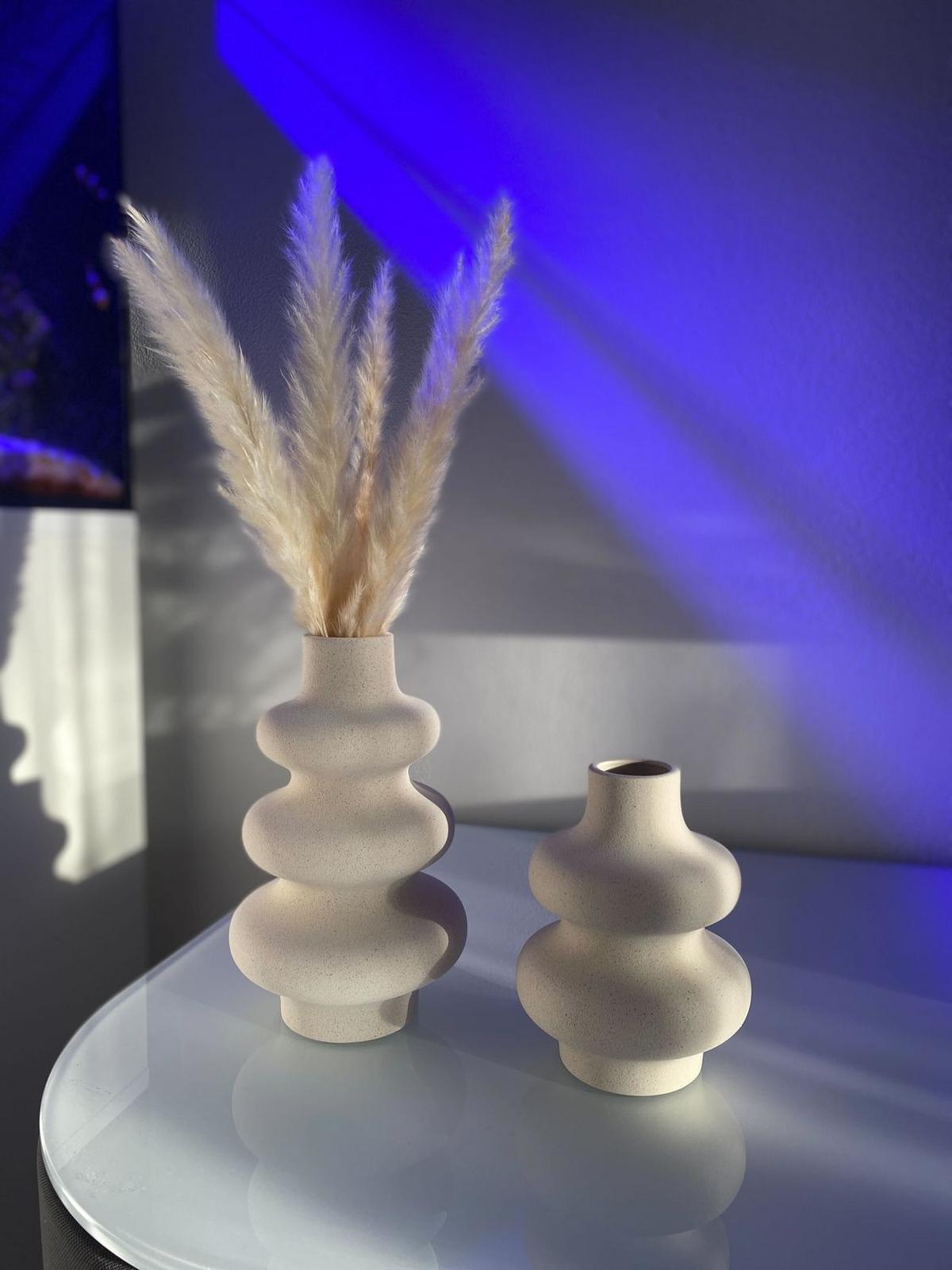 PAMPASGRAS Trockenblumen 30 Stück - Weiß, Naturmaterialen (5cm) - Intirilife