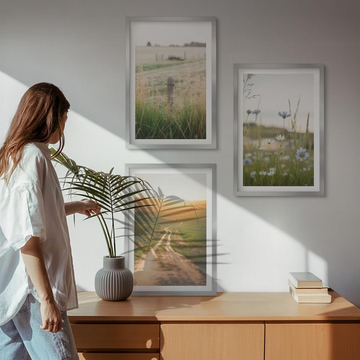 BILDER SET 3er Set - 40x60 cm Silberner Rahmen - Landschaften Natur Felder Weg - Silberfarben, Kunststoff (40/60cm) - TULUP