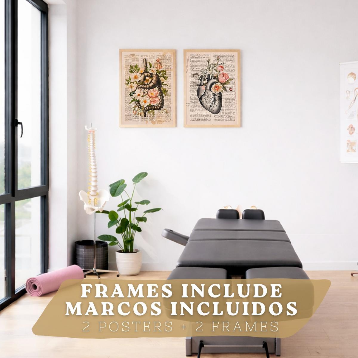 POSTER Set aus 2 Anatomie Mensch Drucke und Wandbilder mit Verdauungssystem Darm und Herz Klassisches Florales Design Größe Leichter Holzrahmen A3 - Beige, Papier (29.7/42/3cm) - Nacnic