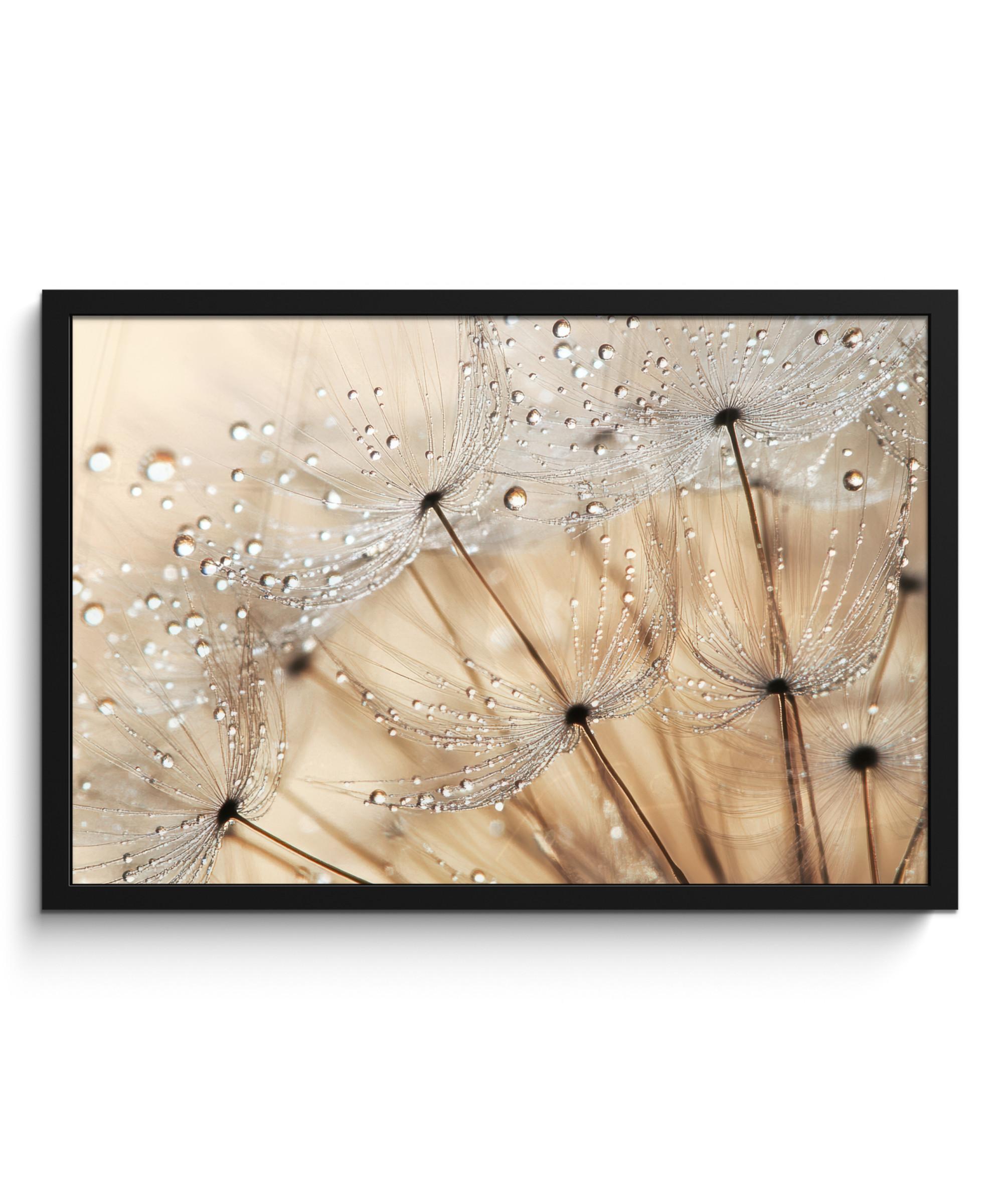 POSTER MIT RAHMENGERAHMTES BILD Löwenzahn - Abstrakt - Natur - Beige 60x40 cm - Braun, Papier (60/40cm) - MuchoWow