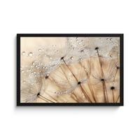 POSTER MIT RAHMENGERAHMTES BILD Löwenzahn - Abstrakt - Natur - Beige 60x40 cm - Braun, Papier (60/40cm) - MuchoWow