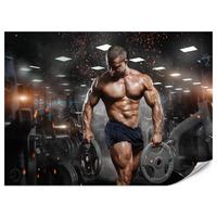 FOTOTAPETE Muskulöser Mann Gym Fitnessstudio Sport 350x256 - Beige/Schwarz, Papier (350/256cm) - Muralo