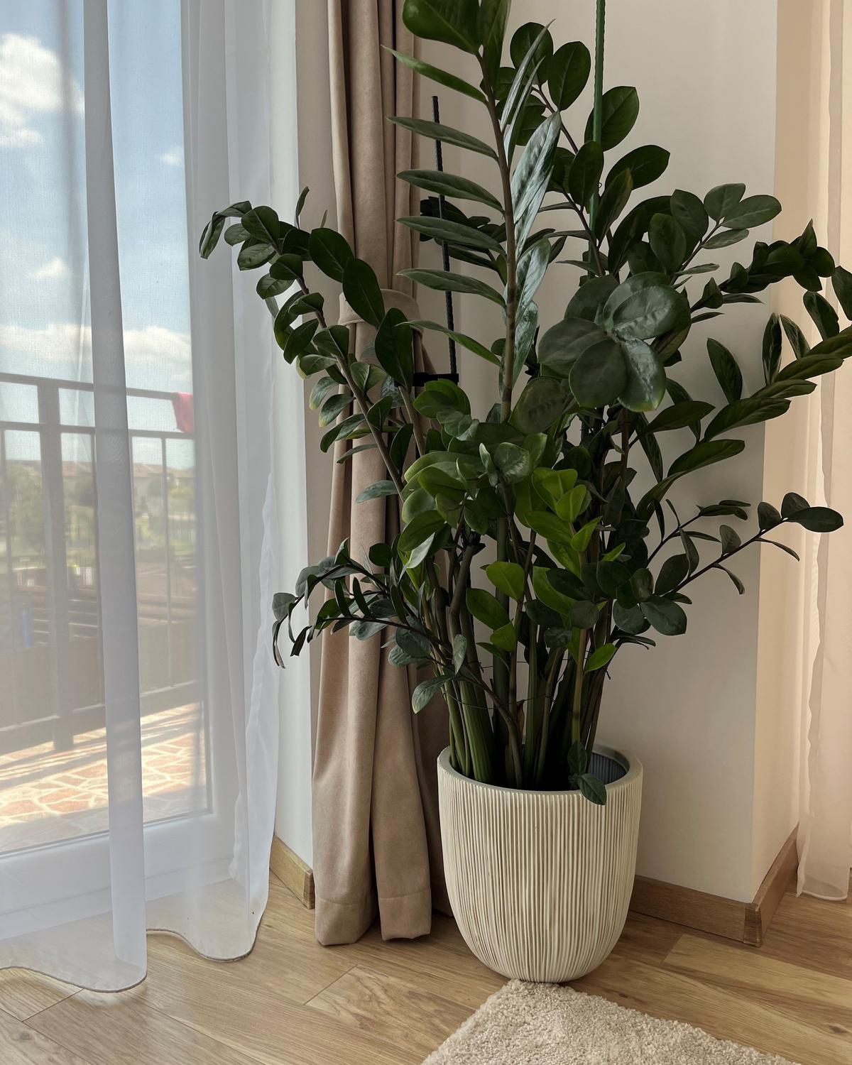 BLUMENTOPF beige/weiß rund 31/31/33 cm Chios - Beige/Weiß, Naturmaterialen (33cm) - Beliani