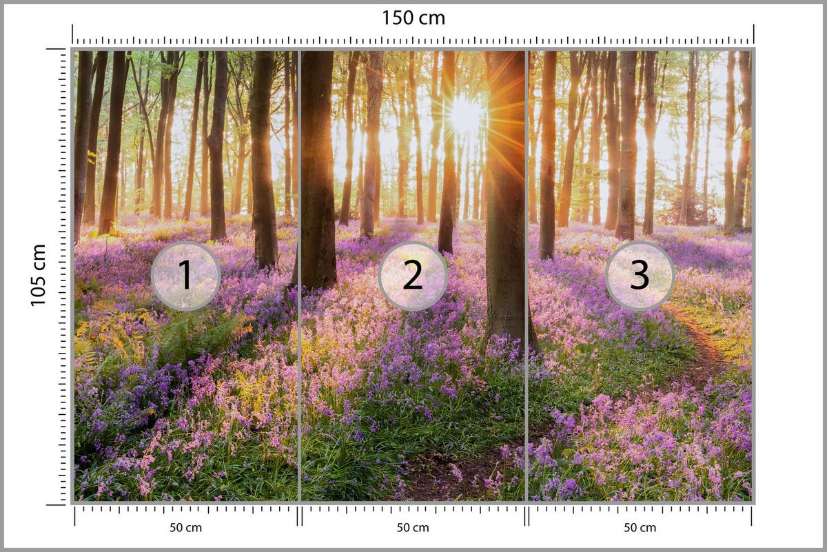 FOTOTAPETE Wald Blumen Sonnenaufgang Landschaft 3D 150x105 - Gelb/Beige, Papier (150/105cm) - Muralo