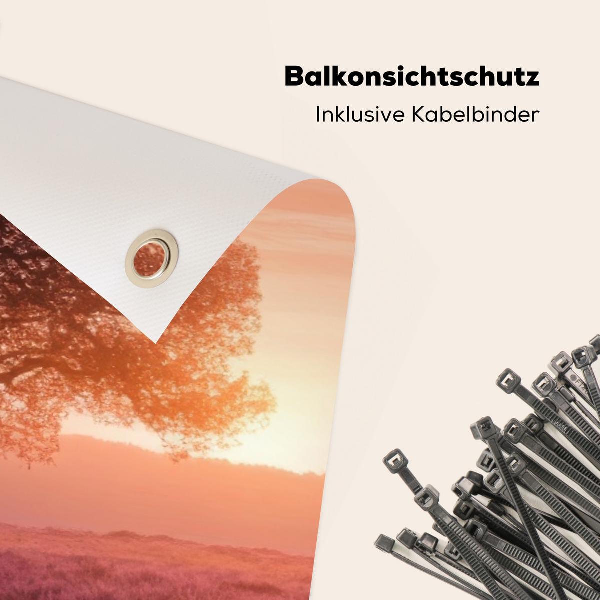 BALKON-SICHTSCHUTZ Baum - Heidekraut - Sonnenaufgang Balkon Deko 300x120 cm - Flieder, Kunststoff (300/120cm) - MuchoWow
