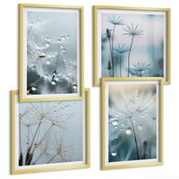 BILDER SET 4er Set - 50x50 cm & 40x60 cm Goldrahmen - Tautropfen auf Löwenzahn - Goldfarben, Kunststoff (50/50cm) - TULUP