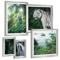 BILDER SET 5er Set - 50x50 cm & 20x30 cm & 40x60 cm Silberner Rahmen - Blätter und Blüten in verschiedenen Farben - Silberfarben, Kunststoff (40/60cm) - TULUP