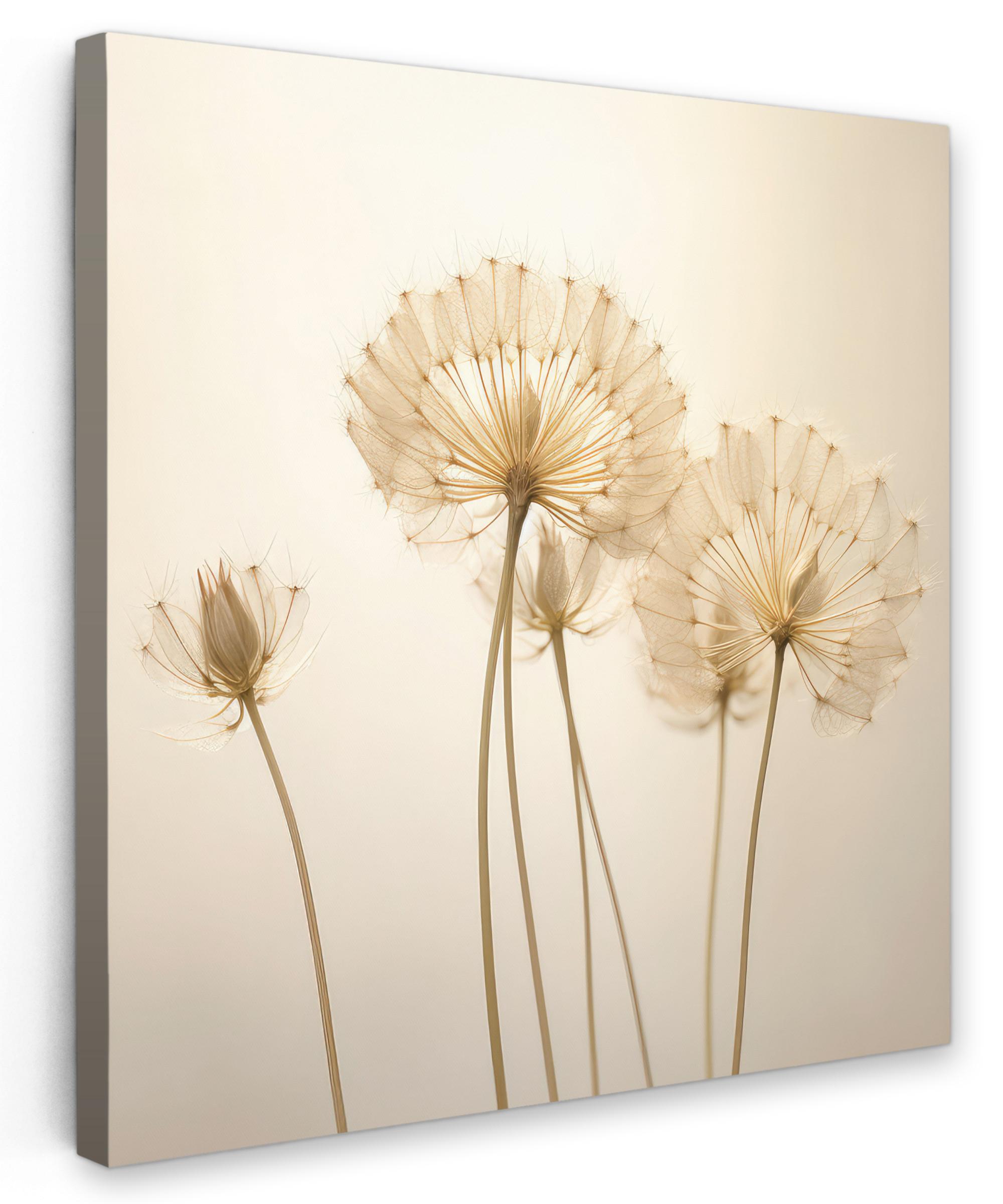 LEINWANDBILD Sonnenlicht - Löwenzahn - Botanisch - Blumen Deko Groß 90x90 cm - Creme, Textil (90/90cm) - MuchoWow