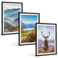 BILDER SET 3er Set - 40x60 cm Schwarzer Rahmen - Natur des Bergseehirsches - Schwarz, Kunststoff (40/60cm) - TULUP