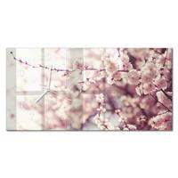 WANDUHR aus Glas 60x30 cm - Kirschblüten - Pink, Glas (60/30/0.4cm) - TULUP