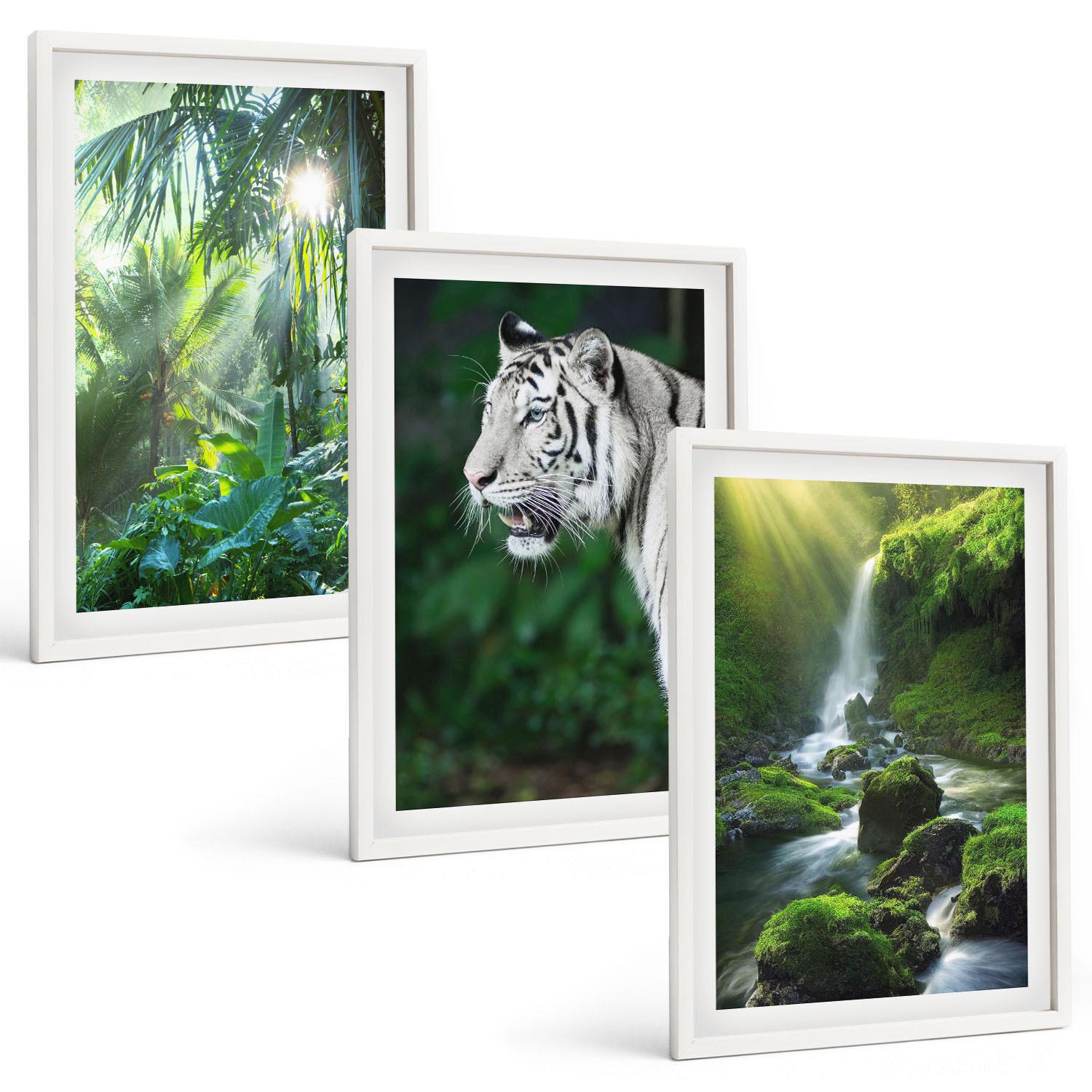 BILDER SET 3er Set - 40x60 cm Weißer Rahmen - Dschungeltigerwasserfall - Weiß, Kunststoff (40/60cm) - TULUP