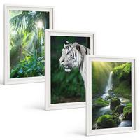 BILDER SET 3er Set - 40x60 cm Weißer Rahmen - Dschungeltigerwasserfall - Weiß, Kunststoff (40/60cm) - TULUP