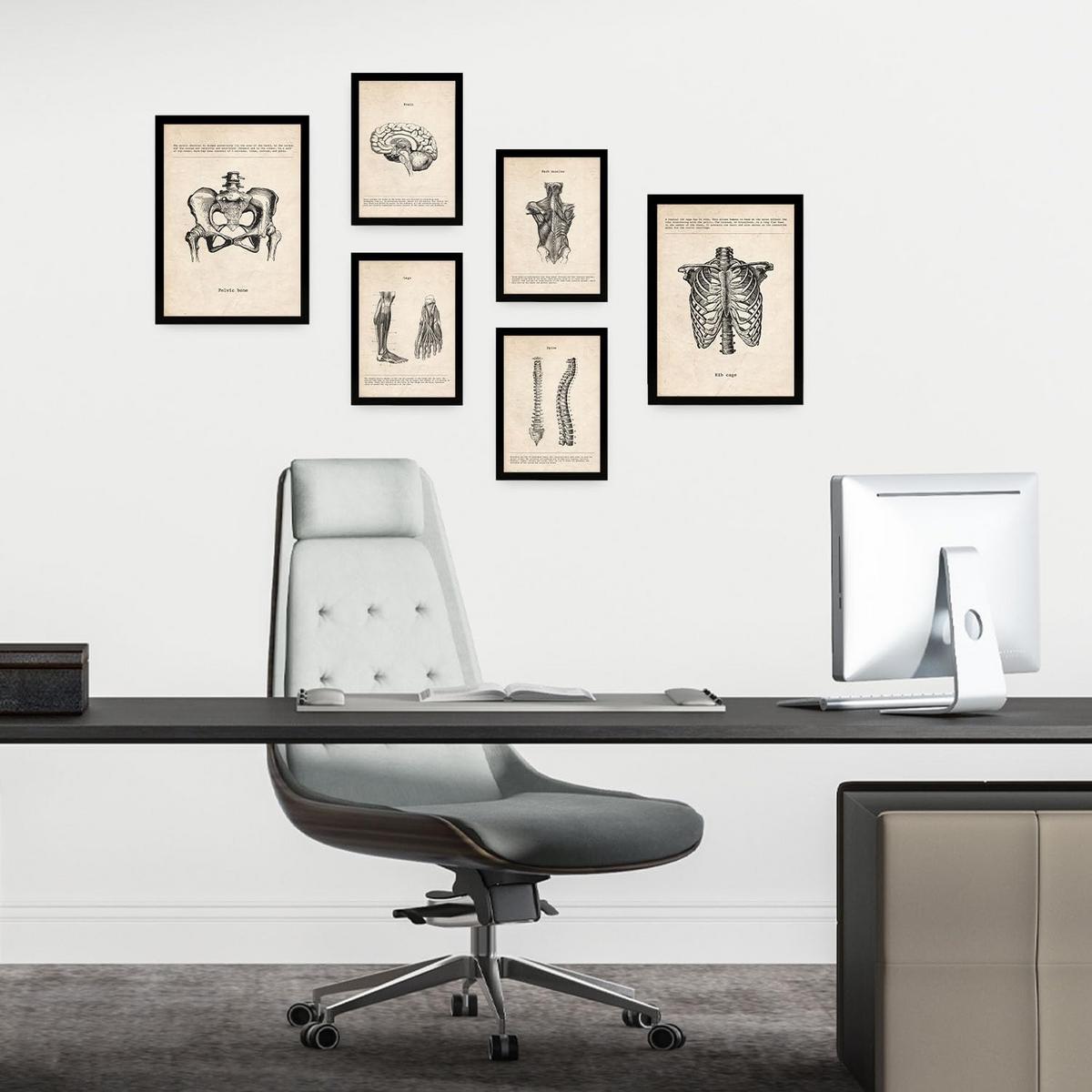 POSTER Set Mit 6 Von Kopf Bis Fuß Medizinische Illustrationen Im Vintage Stil Von Anatomie, Körperteilen, Knochen Und Muskeln A3 & A4 Schwarzer Rahmen - Schwarz, Papier (29/3cm) - Nacnic