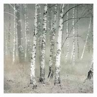 FOTOTAPETE Ruhender Birkenwald 192/192 cm - Grau, Papier (192/192cm) - Bilderwelten