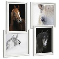 BILDER SET 4er Set - 50x50 cm & 40x60 cm Weißer Rahmen - Pferdeporträts in Schattierungen - Weiß, Kunststoff (50/50cm) - TULUP