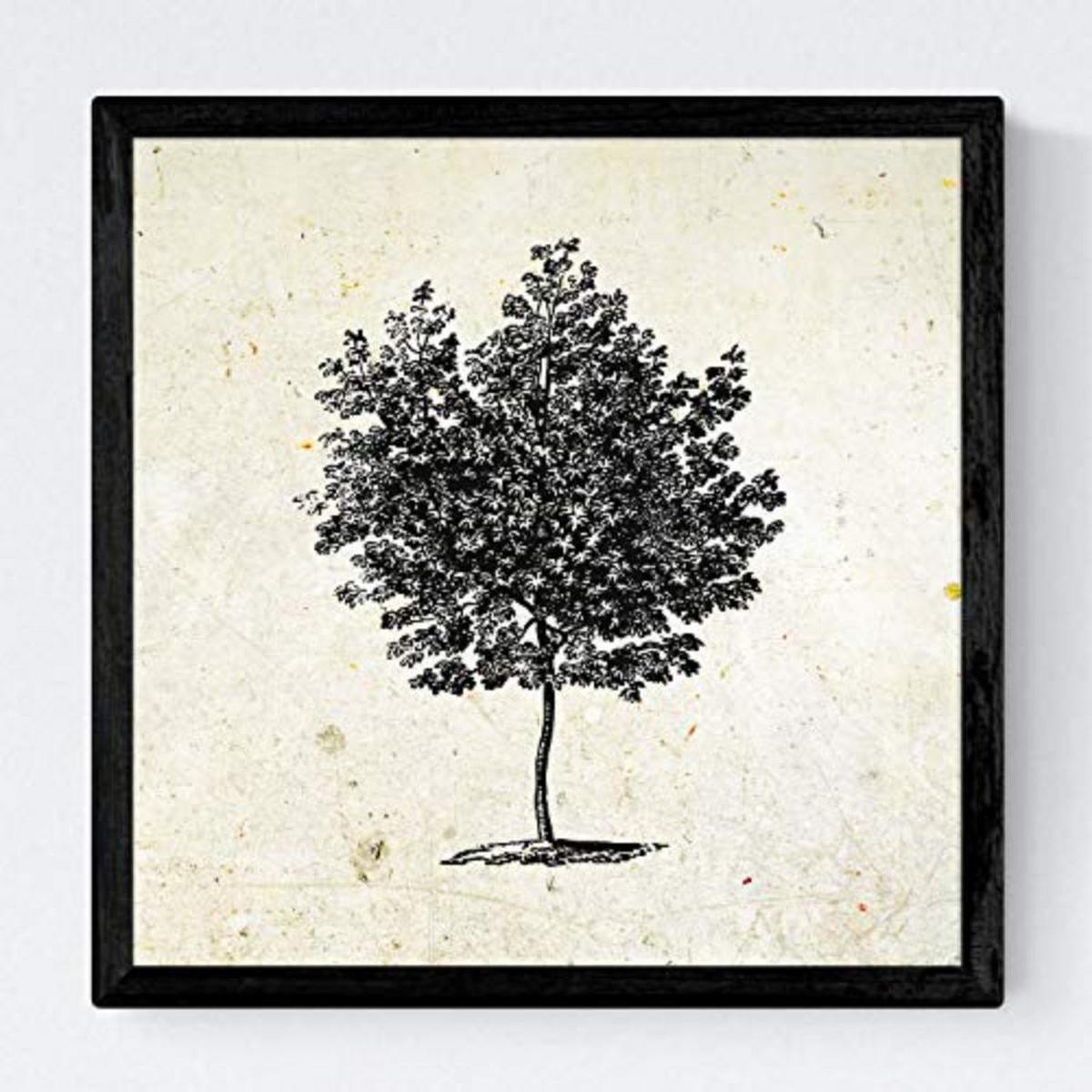 POSTER Set mit 4 Blättern der Grove Jahrgang Hintergrund 20x20cm Schwarzer Rahmen - Schwarz, Papier (20/3cm) - Nacnic