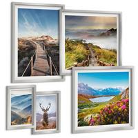 BILDER SET 5er Set - 50x50 cm & 20x30 cm & 40x60 cm Silberner Rahmen - Berglandschaft, See, Hirsche - Silberfarben, Kunststoff (40/60cm) - TULUP