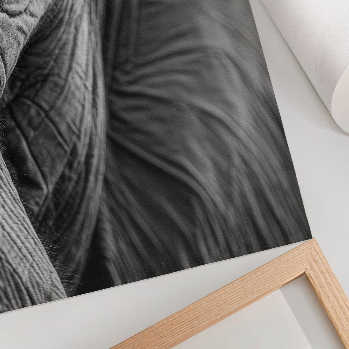 POSTER - 29x42 cm - Visual Echo - Elefantenblick - Schwarz, Textil (29/42/0.1cm) - TULUP