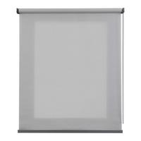 ROLLO Hellgrau,100cm x 250cm - Hellgrau, Kunststoff (100/250cm) - STORESDECO