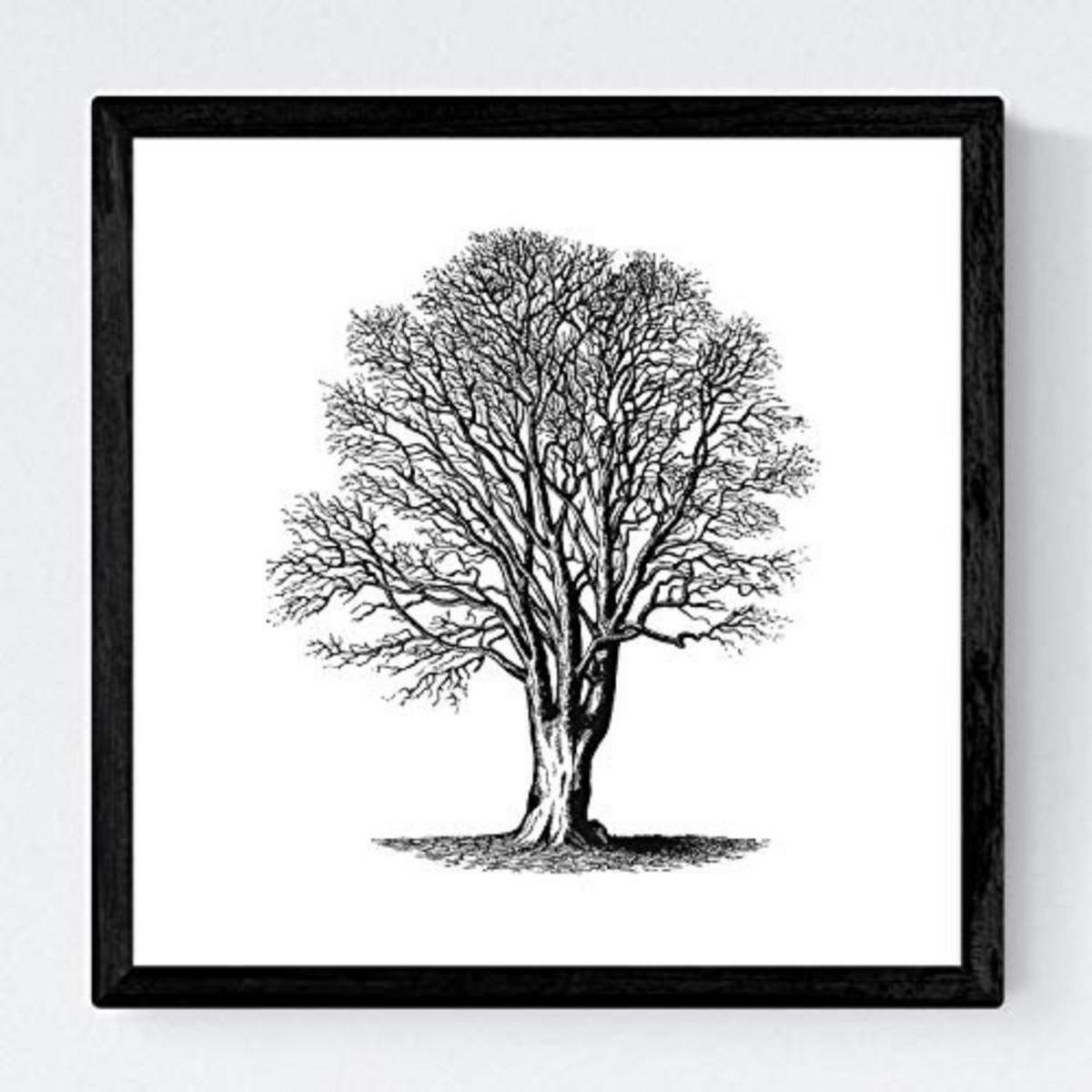 POSTER Set mit 4 Blättern der Bäume ohne und mit Blatt, weiß 20x20cm Schwarzer Rahmen - Schwarz, Papier (20/3cm) - Nacnic