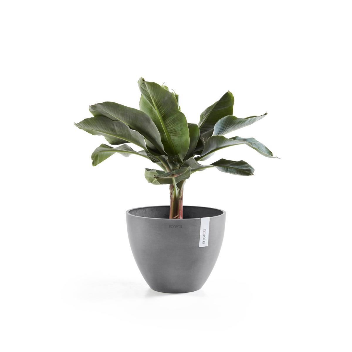 BLUMENTOPF Antwerp 30,2/25 cm Grau - Grau, Kunststoff (30.2/25cm) - Ecopots