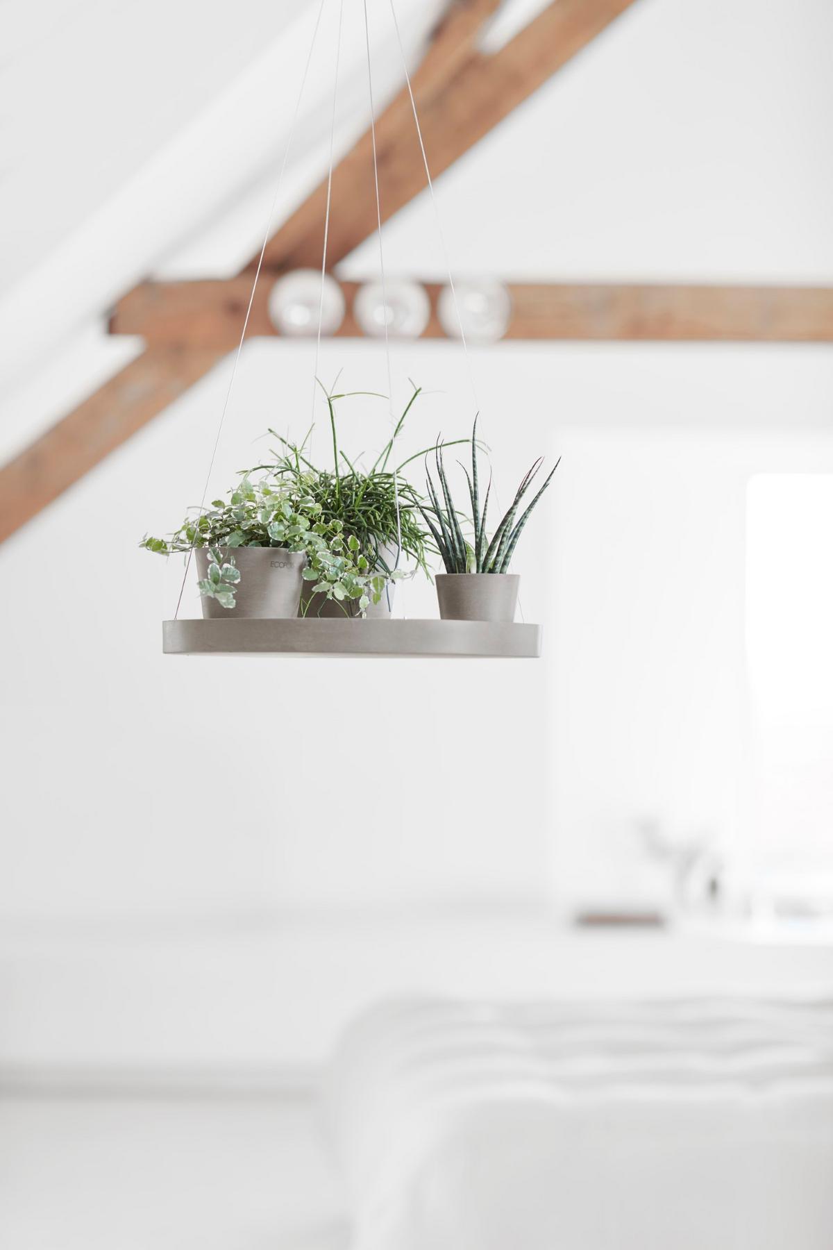 BLUMENTOPFUNTERSETZER Hängend 36/3 cm Taupe - Taupe, Kunststoff (36/3cm) - Ecopots