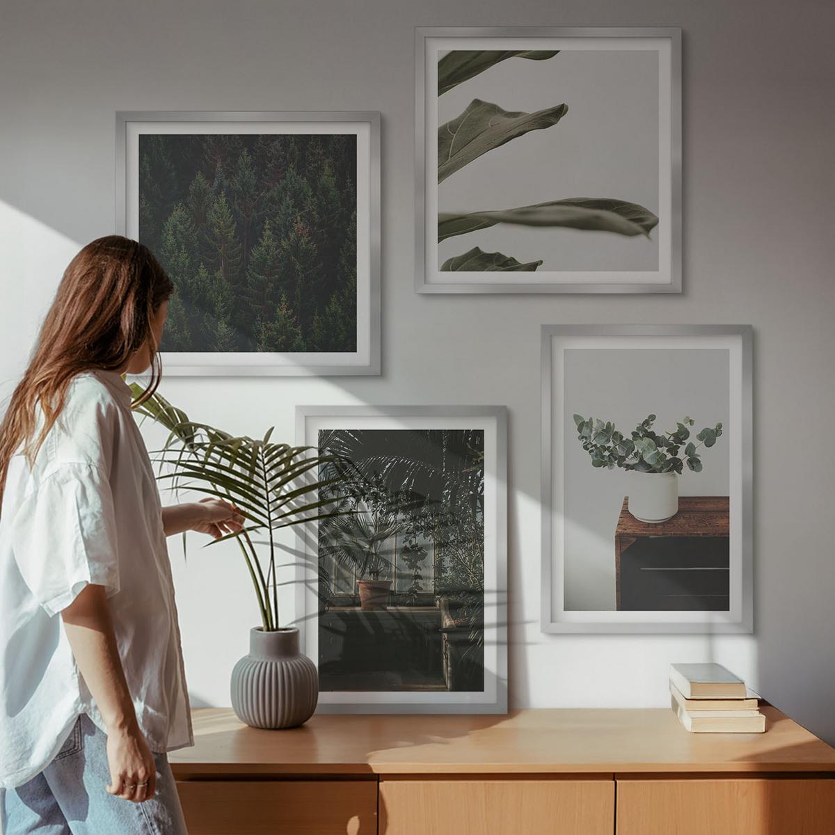 BILDER SET 4er Set - 50x50 cm & 40x60 cm Silberner Rahmen - Rustikale Topfpflanzen - Silberfarben, Kunststoff (50/50cm) - TULUP