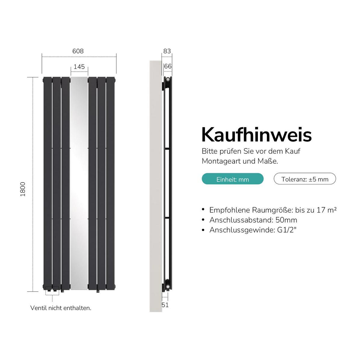 HEIZKÖRPER Flachheizkörper mit Spiegel 180/60,8 cm - Anthrazit, Metall (61/180/5cm) - EMKE