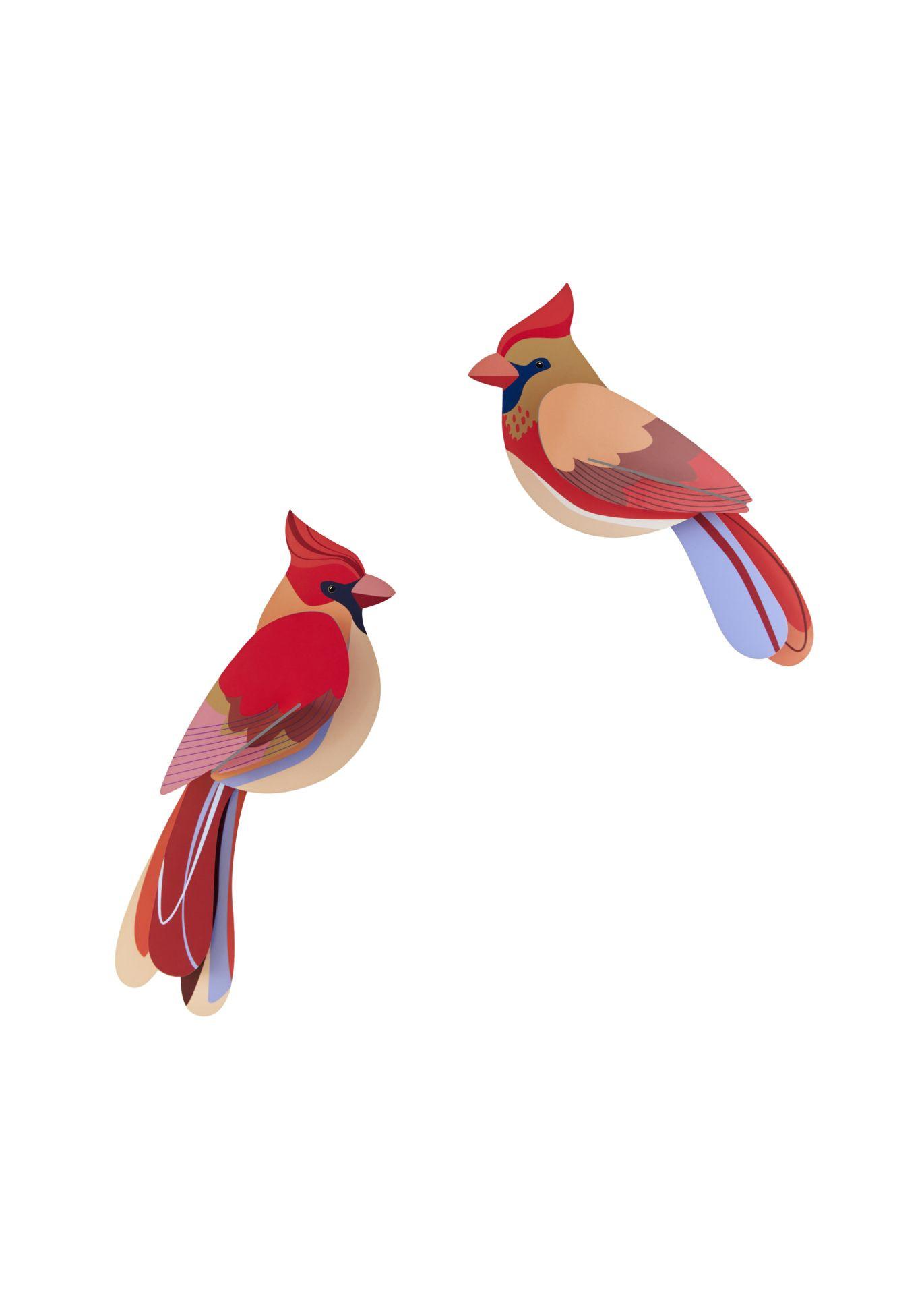 WANDDEKO Kardinal 4.5/5.5 cm - Multicolor, Wellpappe (4.5/5.5/17cm) - Studio Roof