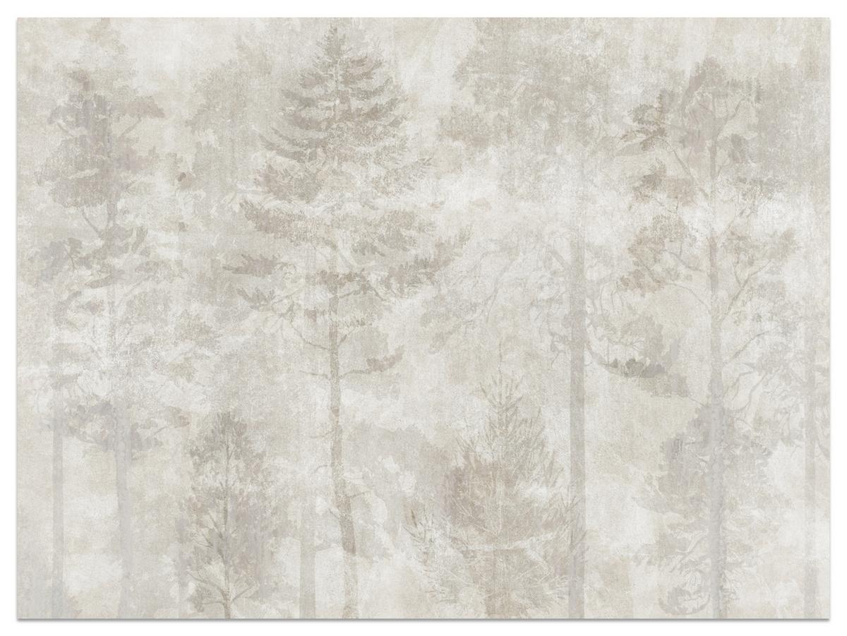 FOTOTAPETE für Wohnzimmer Boho Abstraktion Wald Bäume Beton Vintage 400x280 - Beige, Papier (400/280cm) - Muralo