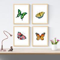 POSTER Set mit 4 Schmetterlinge A4 Schwarzer Rahmen - Schwarz, Papier (29.7/3cm) - Nacnic