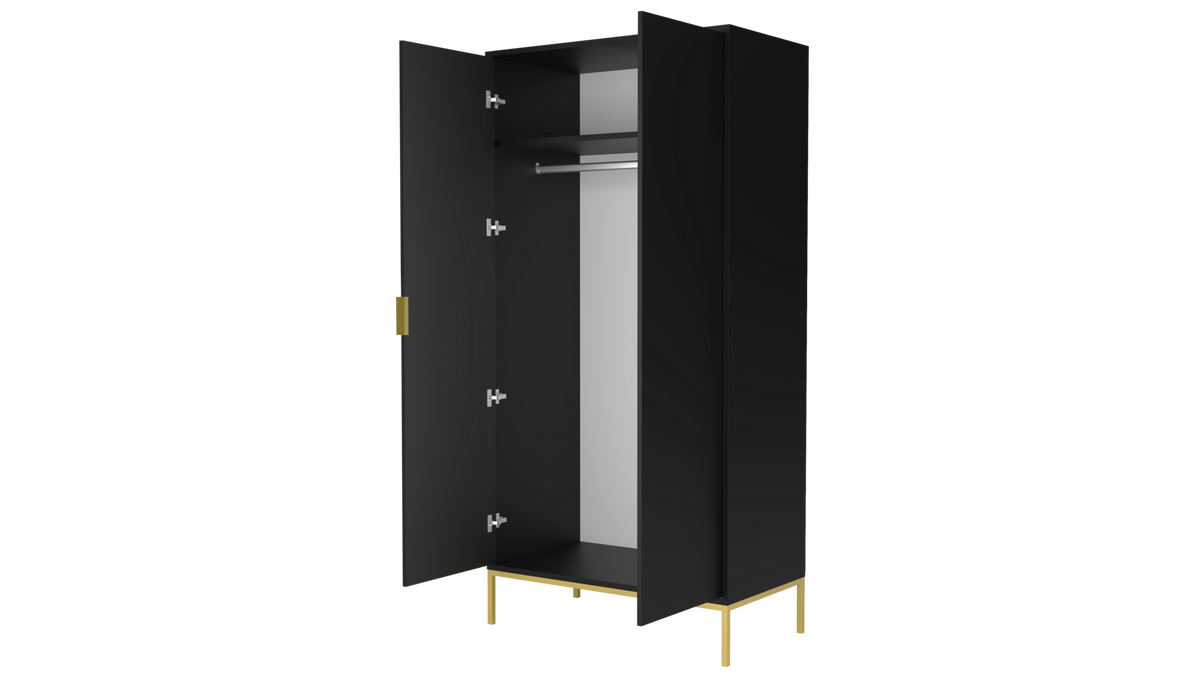DREHTÜRENSCHRANK Austin - Goldfarben/Schwarz, Holzwerkstoff (55/205/100cm) - RAUMHIRSCH FURNITURE