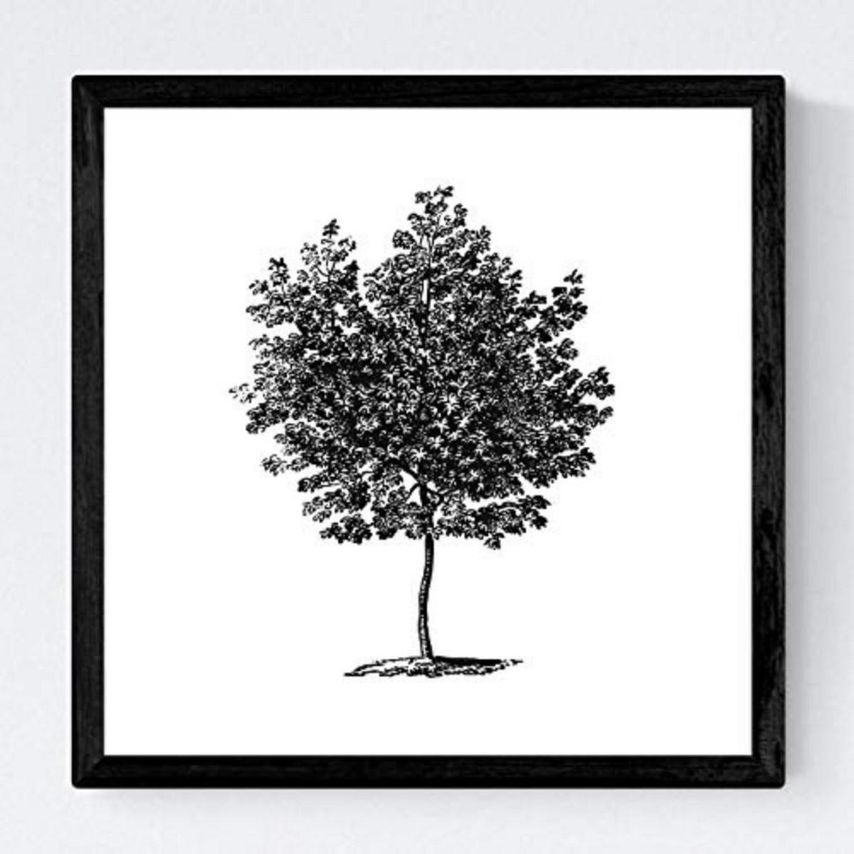 POSTER Set mit 4 Blättern der Grove, weiß 20x20cm Rahmenlos - Klar, Papier (20/3cm) - Nacnic
