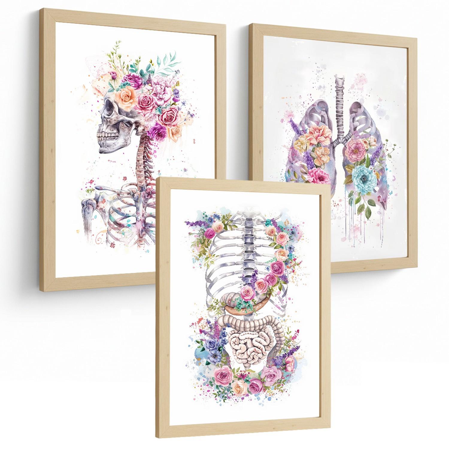 POSTER Set aus 3 Anatomie Drucke mit Skelett Schädel Wirbelsäule Rippen Lungen und Verdauungssystem Künstlerischer Größe Leichter Holzrahmen A3 - Beige, Papier (29.7/42/3cm) - Nacnic