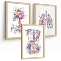 POSTER Set aus 3 Anatomie Drucke mit Skelett Schädel Wirbelsäule Rippen Lungen und Verdauungssystem Künstlerischer Größe Leichter Holzrahmen A3 - Beige, Papier (29.7/42/3cm) - Nacnic
