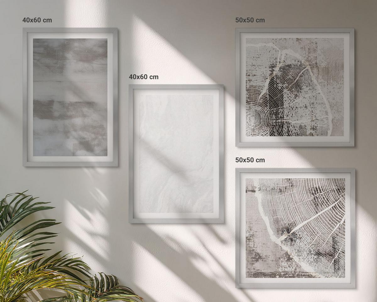 BILDER SET 4er Set - 50x50 cm & 40x60 cm Silberner Rahmen - Abstrakte moderne Formen - Silberfarben, Kunststoff (50/50cm) - TULUP