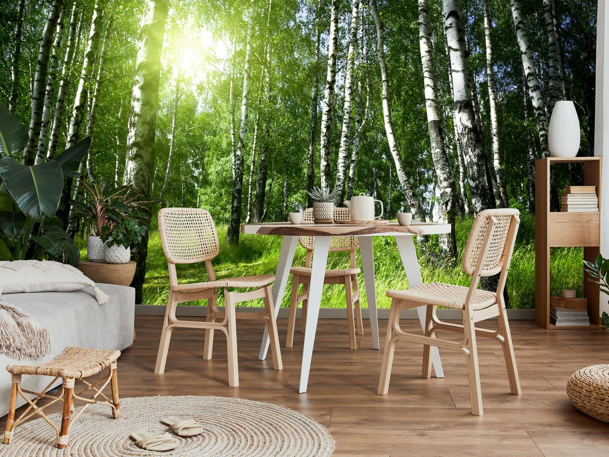 FOTOTAPETE für Wohnzimmer Grüner Birkenwald Gras Sonne Natur 400x280 - Schwarz/Weiß, Papier (400/280cm) - Muralo