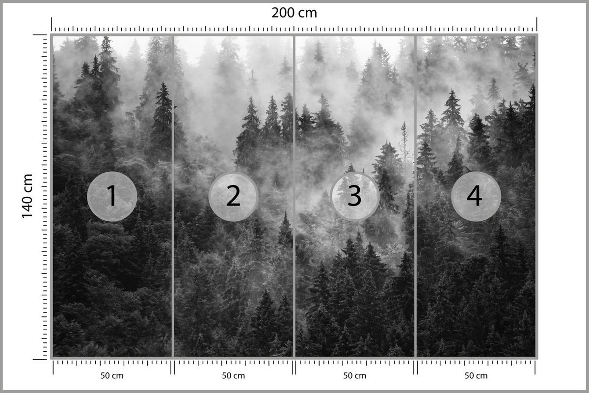 FOTOTAPETE für Wohnzimmer Dichter Nebel Forst Bäume 200x140 - Schwarz/Weiß, Papier (200/140cm) - Muralo