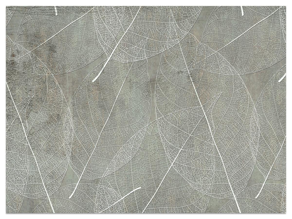 FOTOTAPETE für Schlafzimmer Weiße Blätter auf Beton 100x70 - Weiß/Grau, Papier (100/70cm) - Muralo