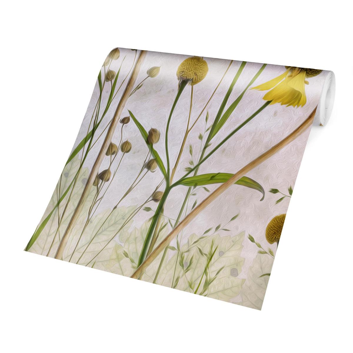 FOTOTAPETE Allium und Helenium Illustration 192/192 cm - Eichefarben, Papier (192/192cm) - Bilderwelten