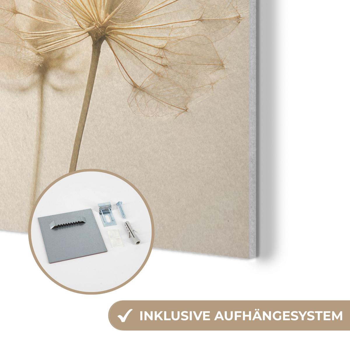 AKUSTIKBILD Sonnenlicht - Löwenzahn - Botanisch - Blumen Wanddeko 70x50 cm - Creme, Kunststoff (70/50/0.9cm) - MuchoWow