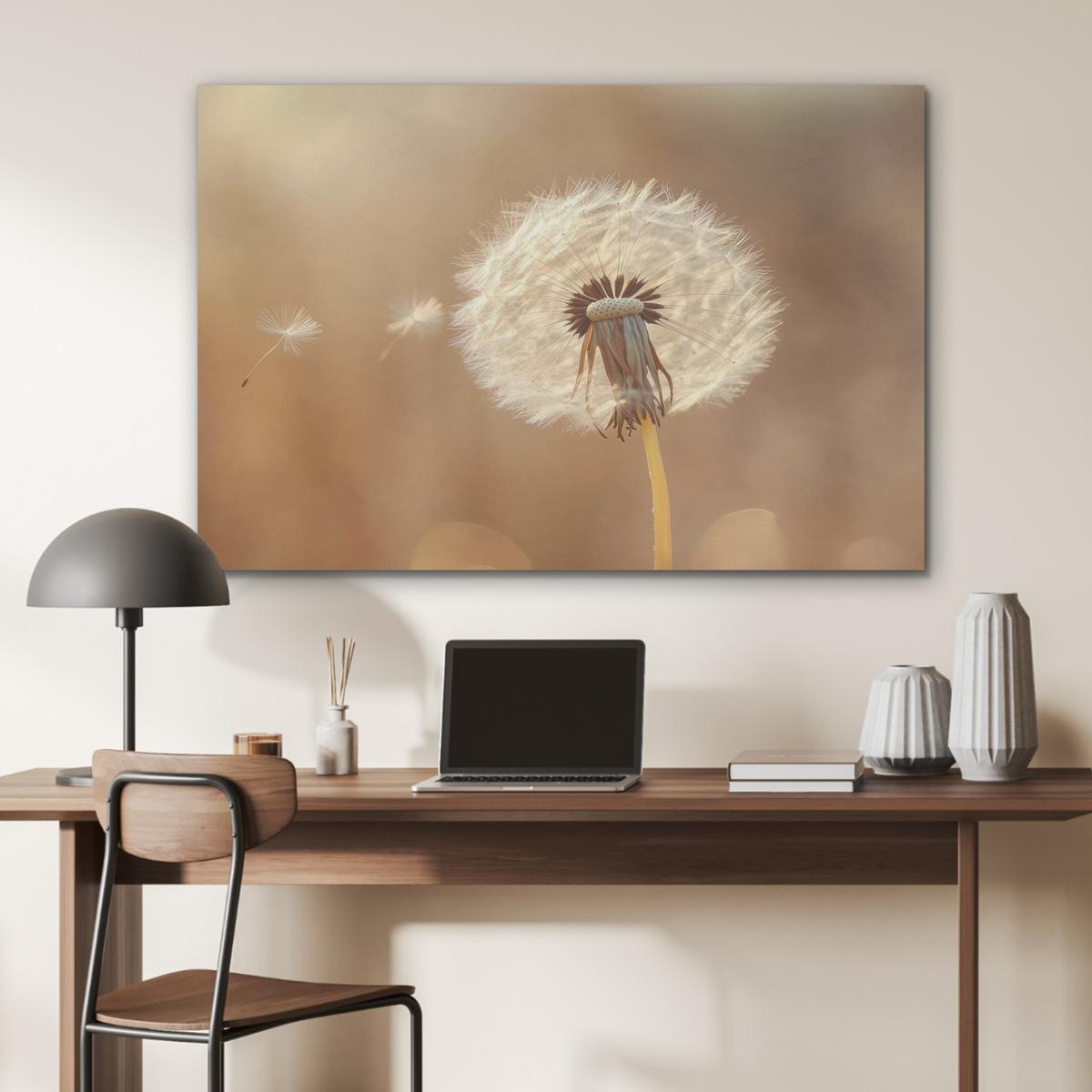 AKUSTIKBILD Löwenzahn - Beige - Natur - Blume Wandbild Wohnzimmer 100x70 cm - Hellbraun, Kunststoff (100/70/0.9cm) - MuchoWow