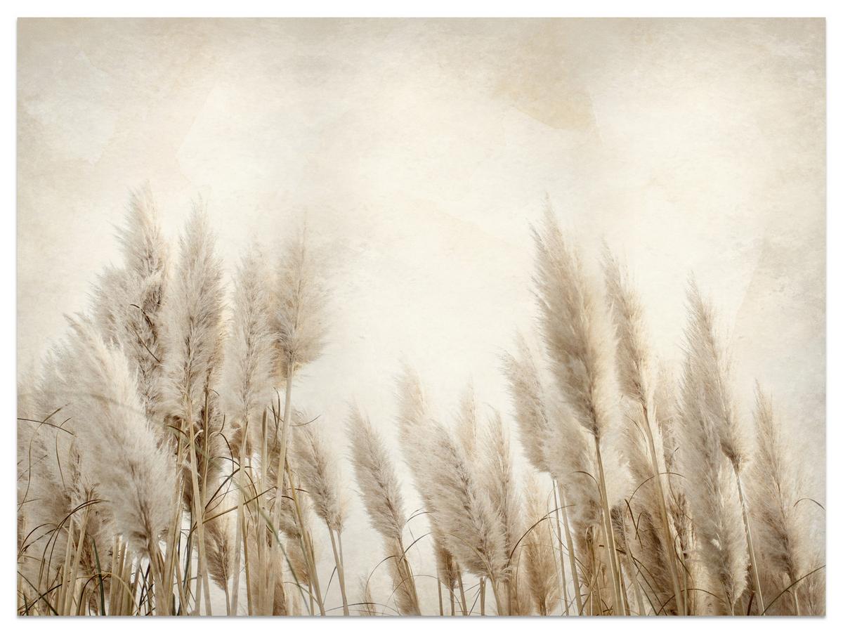 FOTOTAPETE für Schlafzimmer Boho Pampasgras Beton Pflanzen Vintage 150x105 - Beige/Braun, Papier (150/105cm) - Muralo
