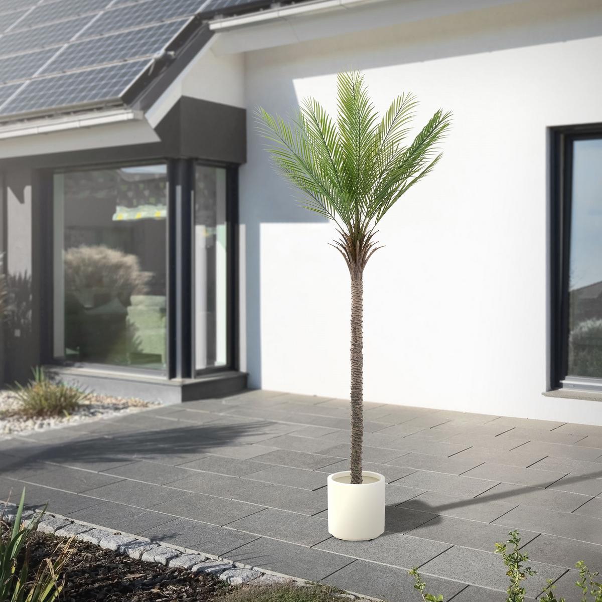 KUNSTPFLANZE Palme - Anthrazit/Grün, Holz/Kunststoff (210cm) - ML-DESIGN