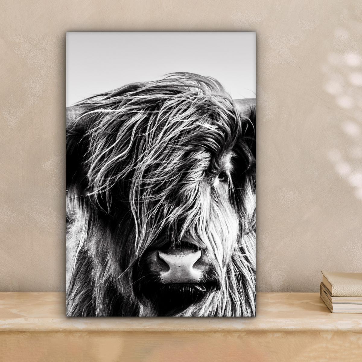LEINWANDBILD Kuh - Schottischer Hochländer - Schwarz - Weiß - Tier - Natur - Wildtiere Deko Wohnzimmer 20x30 cm - Schwarz, Textil (20/30cm) - MuchoWow