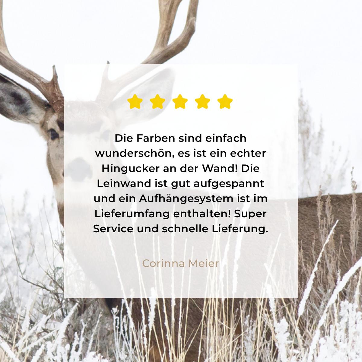 LEINWANDBILD Hirsche - Winter - Schnee - Tiere - Jahreszeiten - Weiß Wanddeko 40x60 cm - Hellbraun, Textil (40/60cm) - MuchoWow