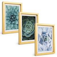BILDER SET 3er Set - 20x30 cm Goldrahmen - Sukkulente Pflanzen grün türkis - Goldfarben, Kunststoff (20/30cm) - TULUP