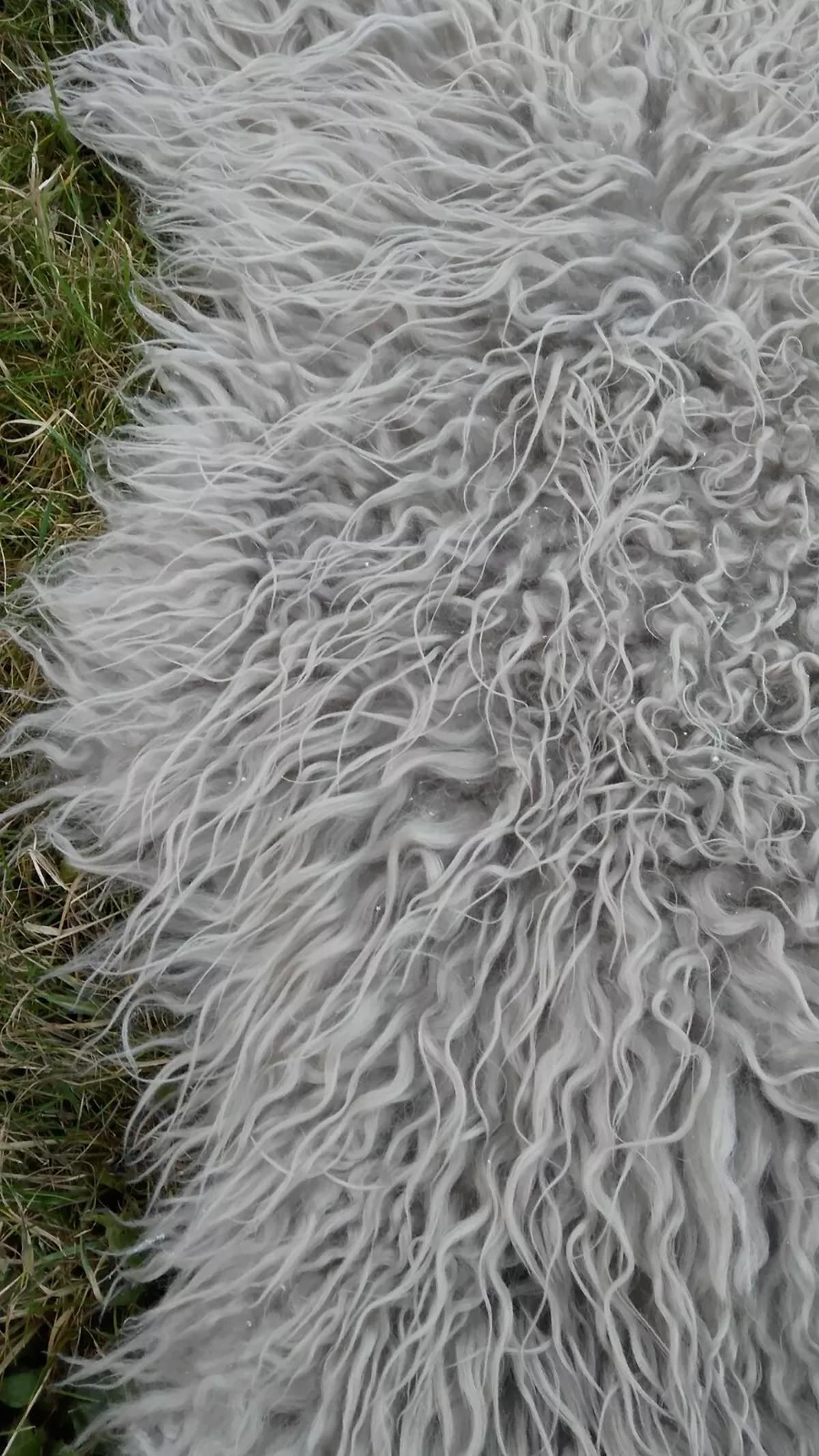SCHAFFELL Island Lammfell lockig ca. 110 cm Naturfarben - Taupe, Fell (60/110cm) - Provellus