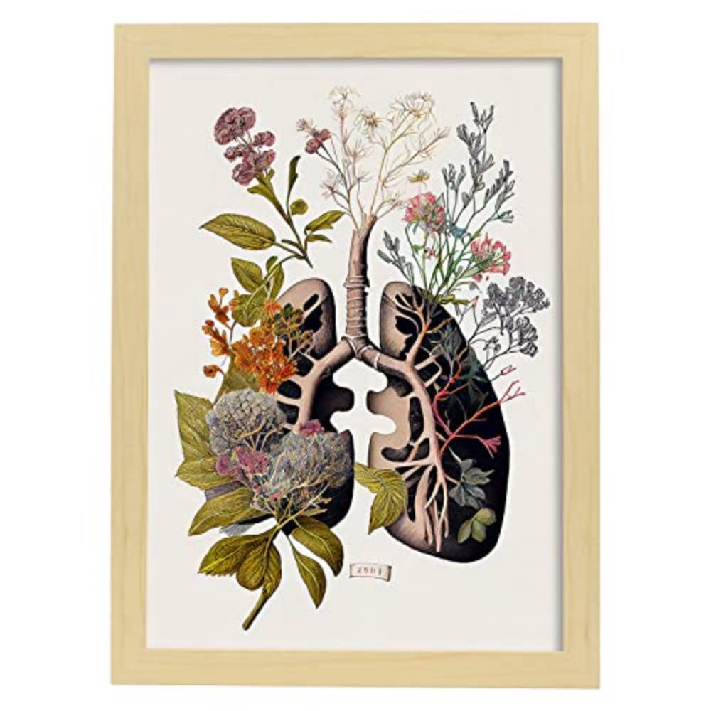 POSTER Anatomie Bronchien A3 Rahmen Aus Hellem Holz - Beige, Papier (29.7/5/42cm) - Nacnic