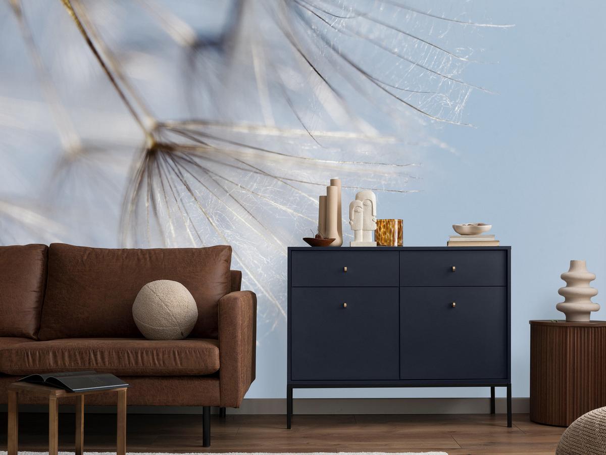 FOTOTAPETE für Schlafzimmer Zarte Löwenzahnblüten im Wind 350x256 - Braun/Weiß, Papier (350/256cm) - Muralo